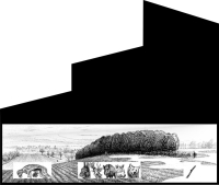 http://www.alexandredoucin.fr/files/dimgs/thumb_0x200_2_45_241.jpg