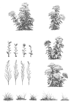 https://www.alexandredoucin.fr/files/gimgs/th-76_Plantes-Jardin-Zumthor.jpg